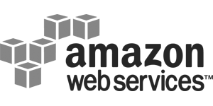 AWS logo